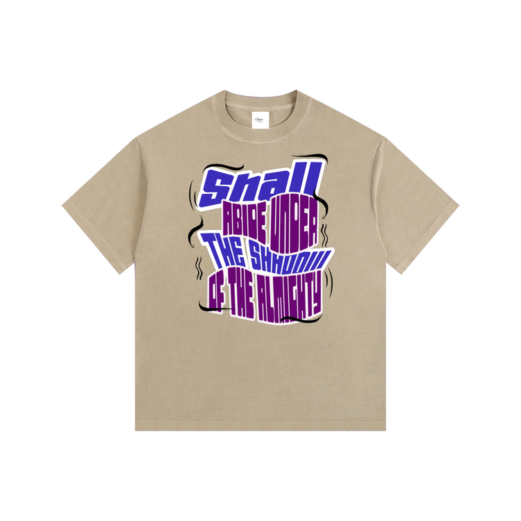 Shall Abide T-Shirt ODMPOD