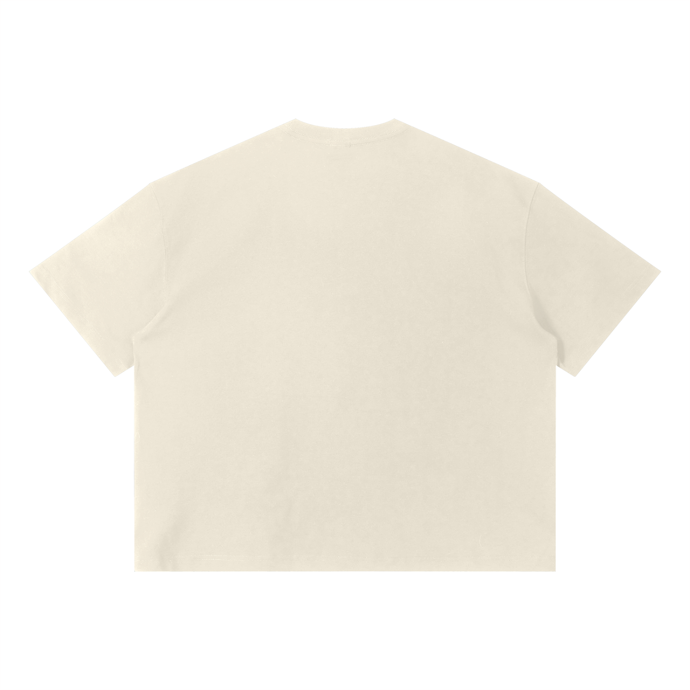 Unisex Sorona Boxy T-Shirt ODMPOD
