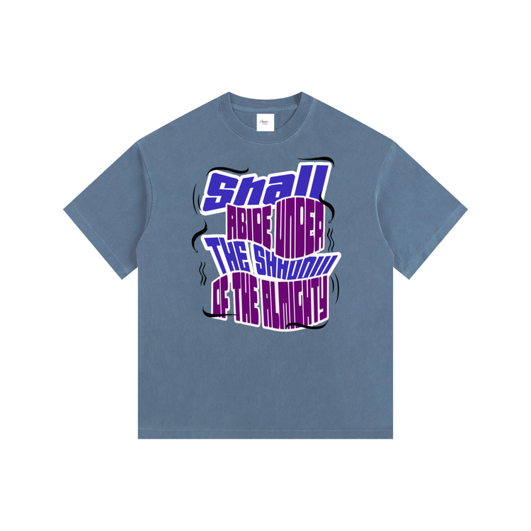 Shall Abide T-Shirt ODMPOD