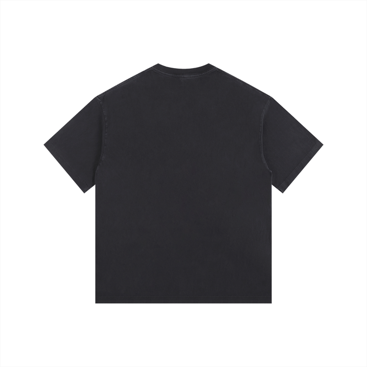 Shall Abide T-Shirt ODMPOD